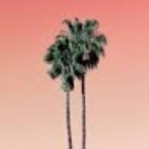 Meet your Posher, Maya